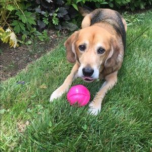 Meet your Posher, Kerry